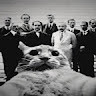 nomadybb1-66er