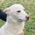 farukozbey