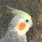egeturker