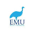 EMU GROUP ONLINE HIZMET