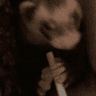 carneiro