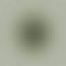 aysenuryildiz5