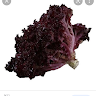 redletuce