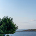 feyza20
