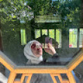 beyzanureryilma