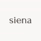 Siena Society