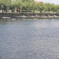 muammerorhan1