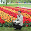 ninelchumak