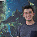 ardaaltun