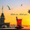 alihaydarsucu1