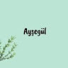 aysegulertem