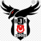 serafettintorun