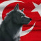 Muzaffer Murat KİLİT