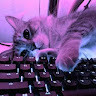 nurgulyunusova
