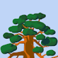 meralyucekaya
