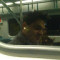 Fatih K.