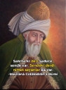 muhammedsafatu1