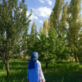 aysekayaa