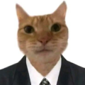 s3c4