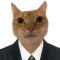 s3c4