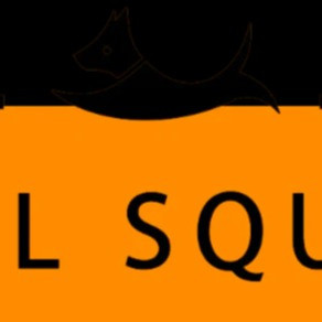 tailsquad