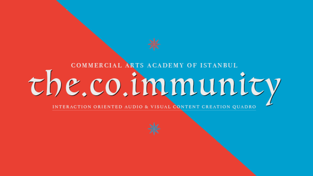 COMMERCIAL ARTS ACADEMY OF ISTANBUL