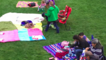 Movies Under the Stars