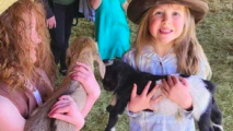 Wishing Star Farm