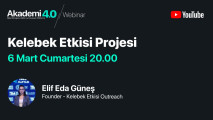 Kelebek Etkisi Projesi