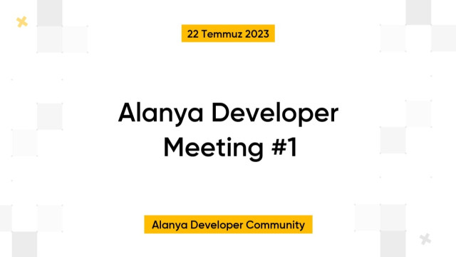 Alanya Developer Meeting #1