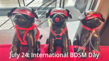 Celebrate: International BDSM Day