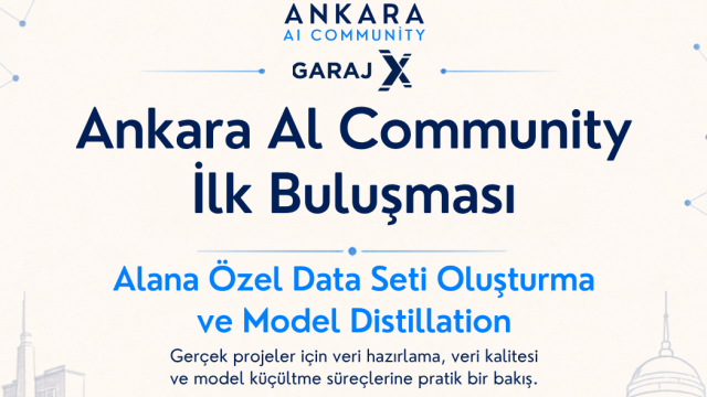 Alana Özel Data Seti Oluşturma ve Model Distillation
