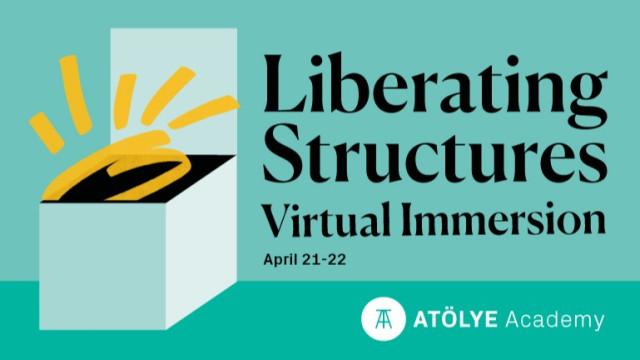 Liberating Structures: Virtual Immersion