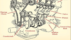 Vehicle Parts