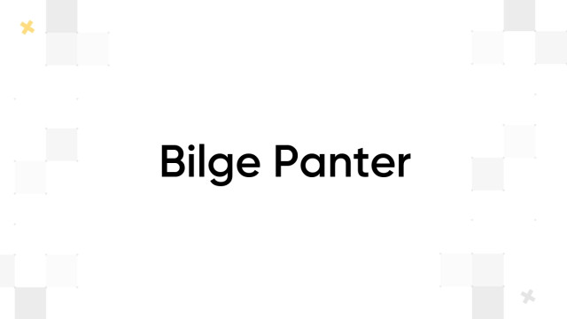 Bilge Panter