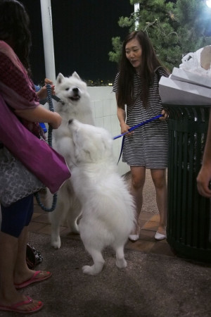 event-photo-3