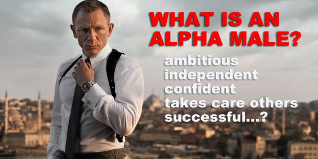 A discussion on What is an ALPHA MALE - Success for Men #1 (May 25th)