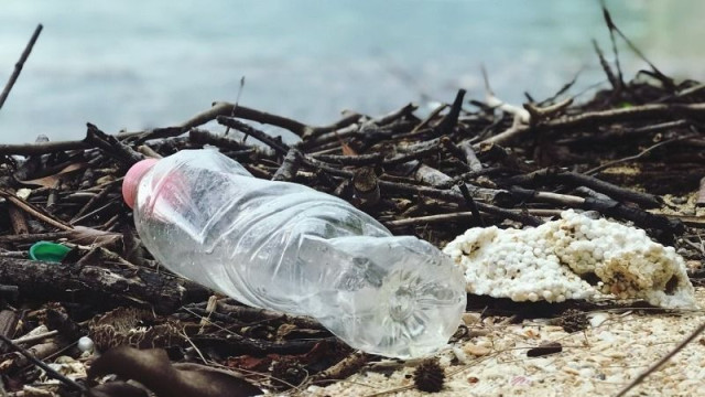 Garbage Cleanup at Deer Lake (East) - Calling Out Participates!