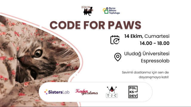 BBT Coffee Talk: Code for Paws