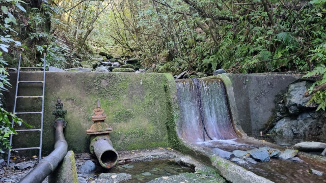 Nightwalk: Marsden weir track & knots