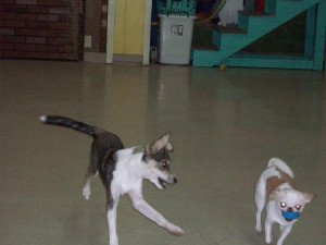event-photo-0