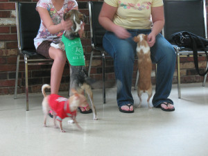 event-photo-1