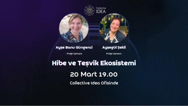 Hibe ve Teşvik Ekosistemi & Collective Idea