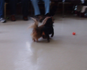 event-photo-3