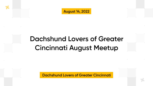 Dachshund Lovers of Greater Cincinnati August Meetup