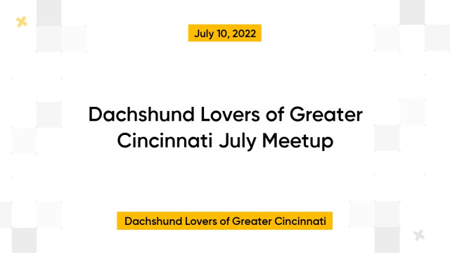 Dachshund Lovers of Greater Cincinnati July Meetup