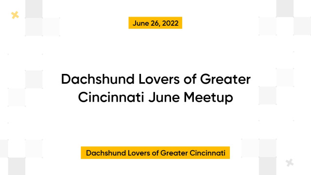 Dachshund Lovers of Greater Cincinnati June Meetup