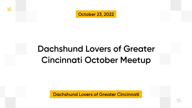 Dachshund Lovers of Greater Cincinnati October Meetup