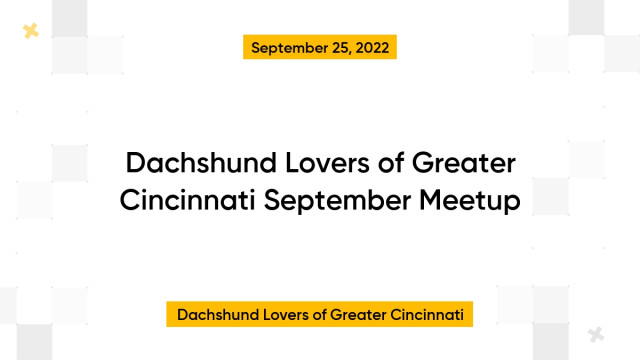 Dachshund Lovers of Greater Cincinnati September Meetup