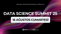 Data Science Summit 2025 highlight photo